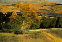 Joaquin Sorolla y Bastida - The Yellow Tree, La Granja